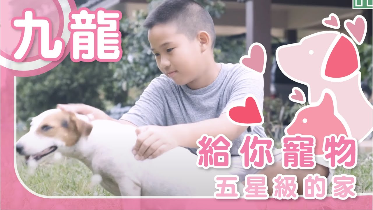 【九龍搵樓】半山壹號．龍譽．啟德一號II．給你竉物五星級的家