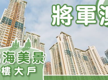 【将军澳揾楼】天晋3B．领峯．峻滢．临海美景换楼大户