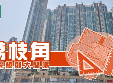 【荔枝角搵樓】宇晴軒．匯璽．昇悅居．華麗靚則大間隔