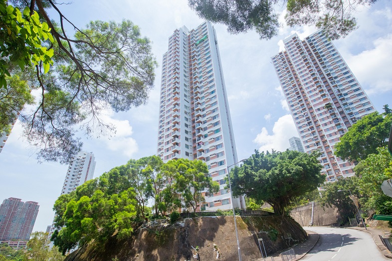 葵涌華員邨獲父子以低市價2%承租 斥1.58萬元租中層2房戶 業主享回報約8.1厘