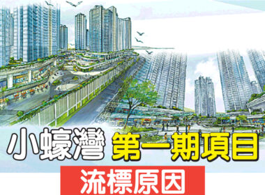 【28Hse】小蠔灣第一期項目流標原因大拆解