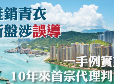 【28Hse】一手例實施十年來首宗代理判囚