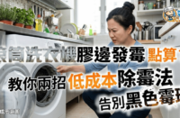 【洗衣機清潔】滾筒洗衣機膠邊發霉點算？ 教你兩招低成本除霉法 告別黑色霉斑！