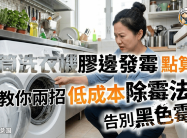 【洗衣機清潔】滾筒洗衣機膠邊發霉點算？ 教你兩招低成本除霉法 告別黑色霉斑！